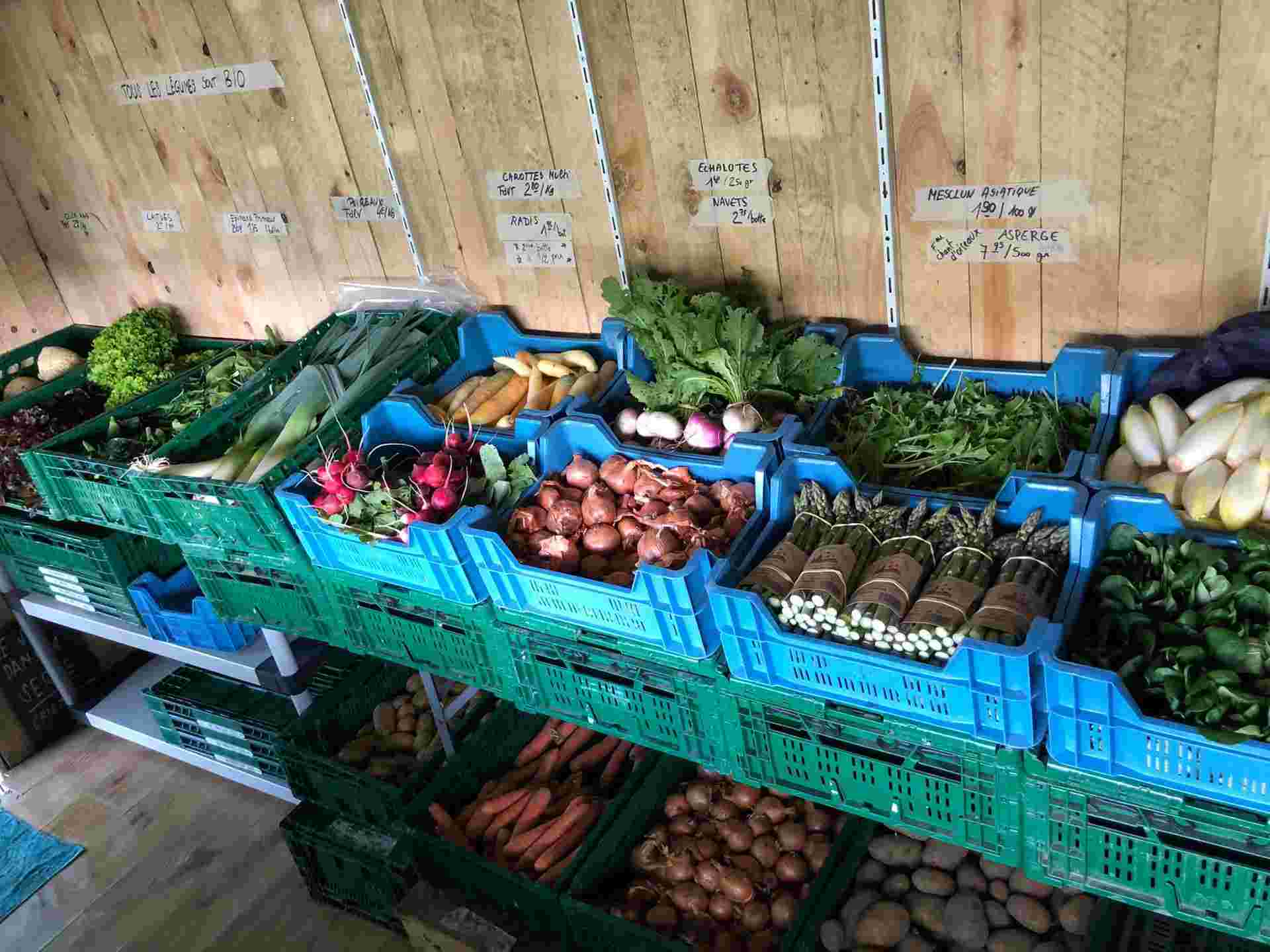 Bacs de légumes dans le magasin des jardins de la vecquée