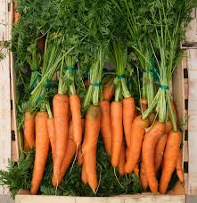 Carottes baby botte