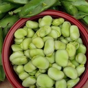 Fèves des Marais 500g