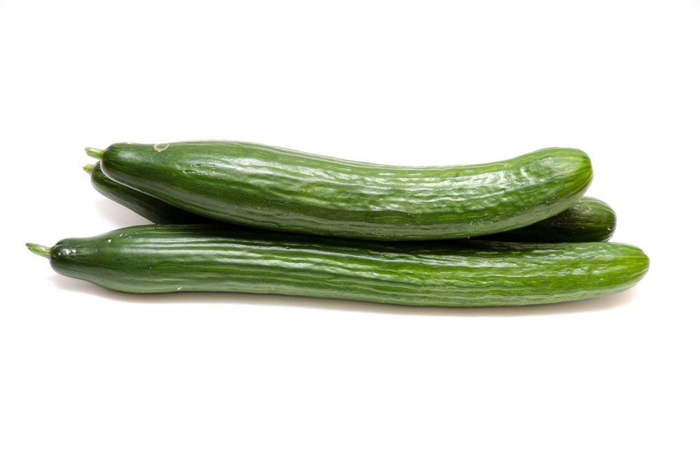 Concombre Long Pce