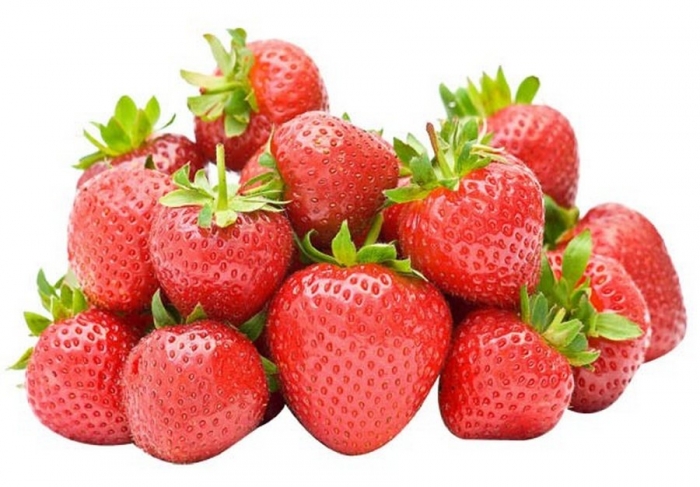 Fraises BIO 500g