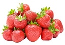 Fraises BIO 500g