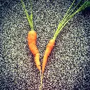 unsplash_H6S9tqXEUmk_small carrots.webp