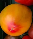 ananas2.webp