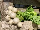 IMG_2860.webp