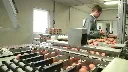 Oeufs romedenne.webp