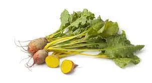 BetteraveJaune.webp