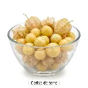 PHYSALIS Cerise de terre bol.webp