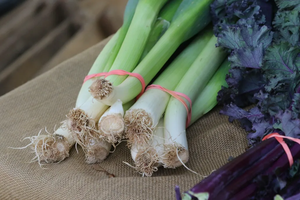 unsplash_TvCCDirKr6A_young leek.webp