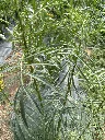 IMG_3322.webp