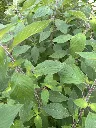 IMG_3485.webp