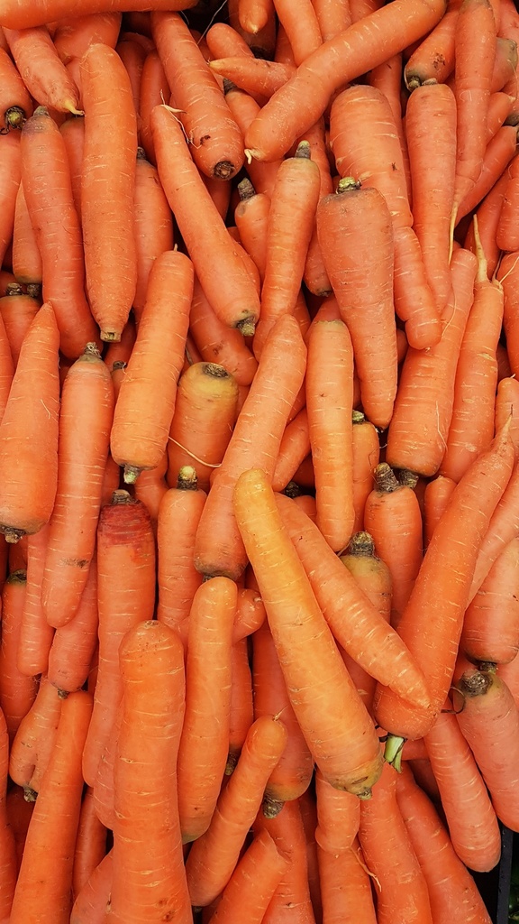 Carottes lavées vrac 1Kg