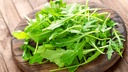 Roquette botte