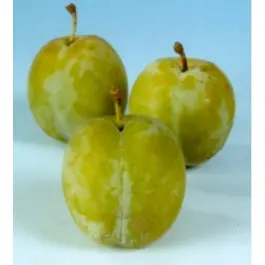 Reine Claude 500gr