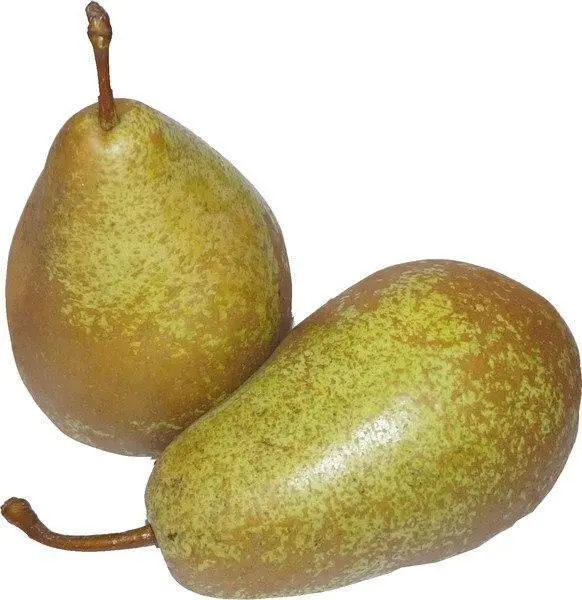 Poire Légipont Kg 