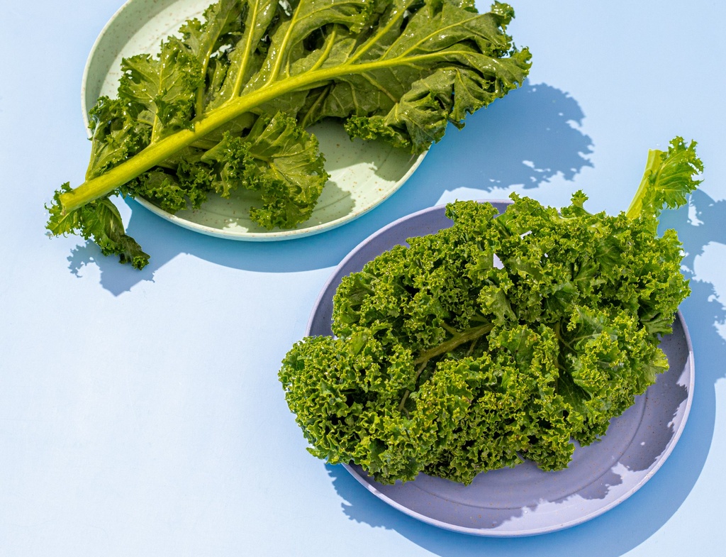 Chou Kale Vert Botte 
