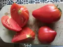 Plant Tomate 'Coeur de Boeuf' Rouge -1P 