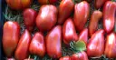 Plant Tomate 'Andine Cornue' -1P
