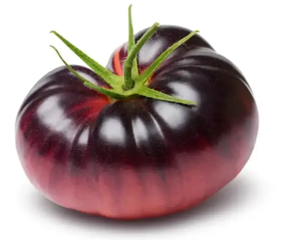 Plant Tomate 'Mar Azul' -1P 