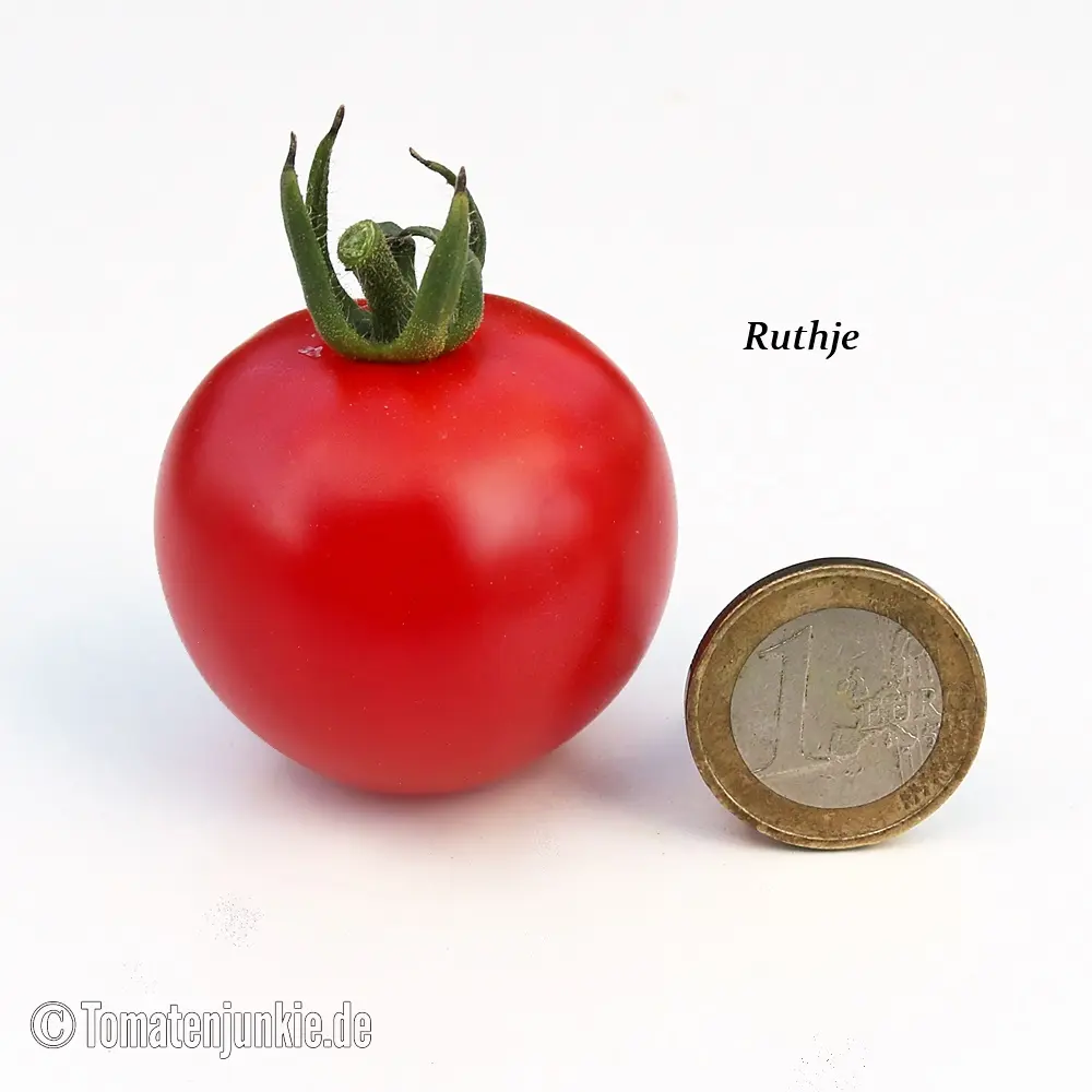 Plant Tomate 'Ruthje"'-1P 