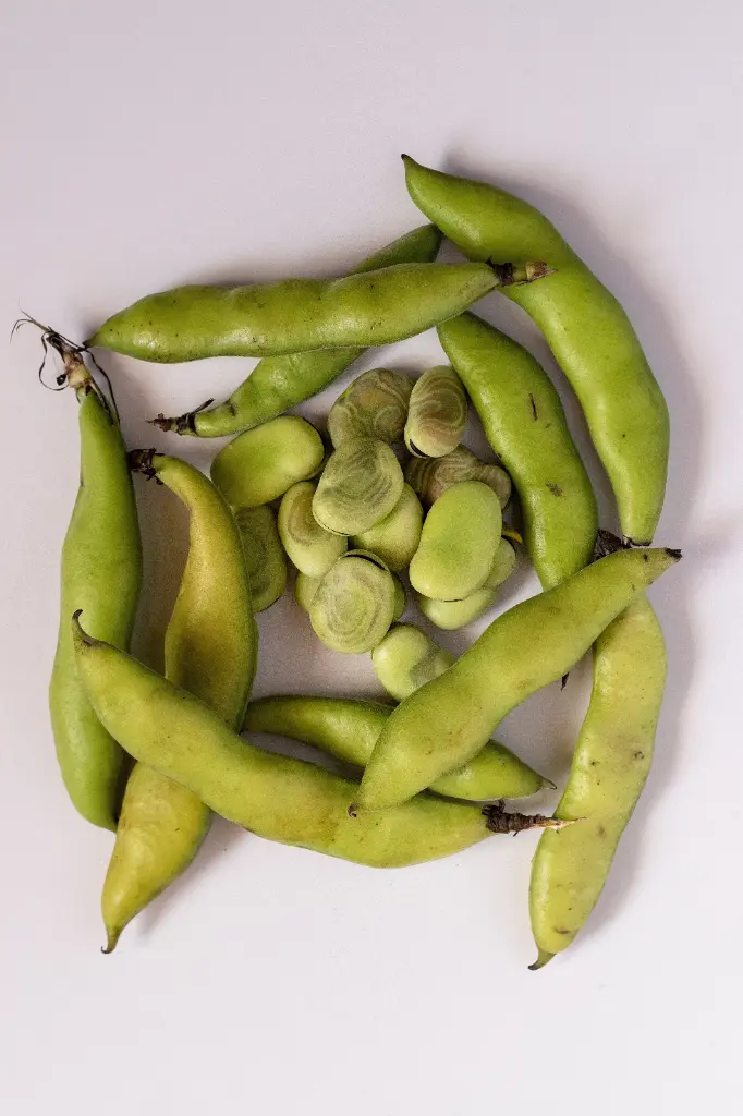 Fèves des marais 1Kg