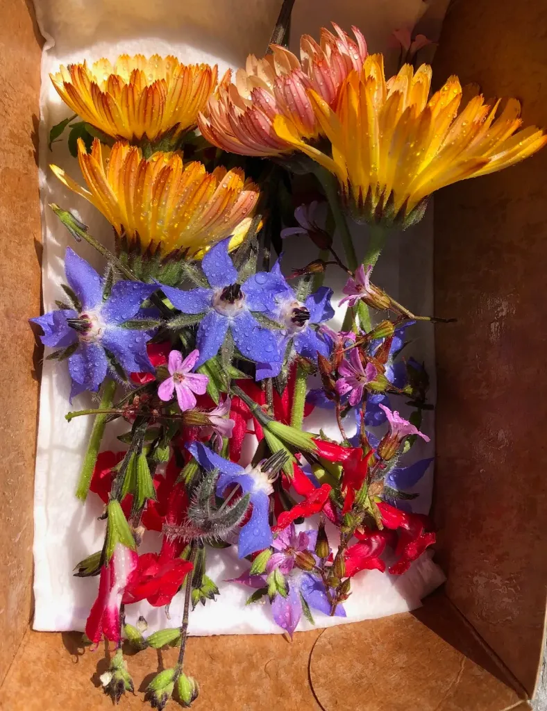 Fleurs comestibles de saison min 20p