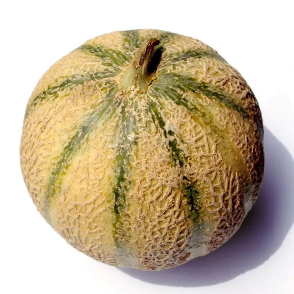 Melon Charentais +/- 1,3 kg