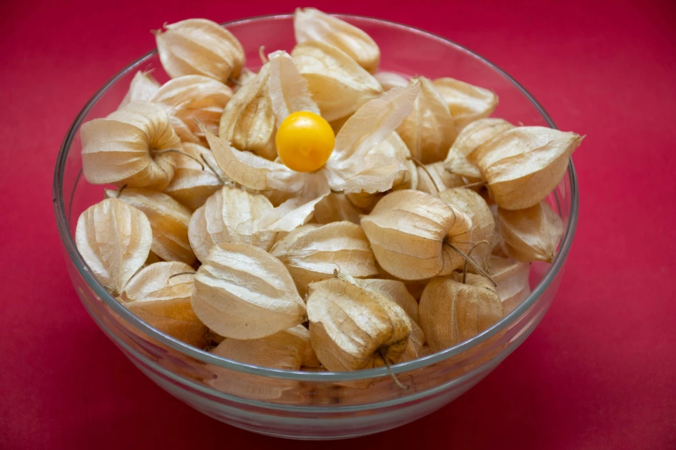 PHYSALIS Coqueret du Pérou 100g