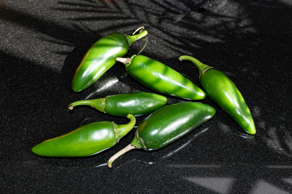Piment Jalapeno 100g