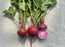 Betterave Chioggia botte