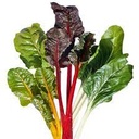 Bettes multicolores botte