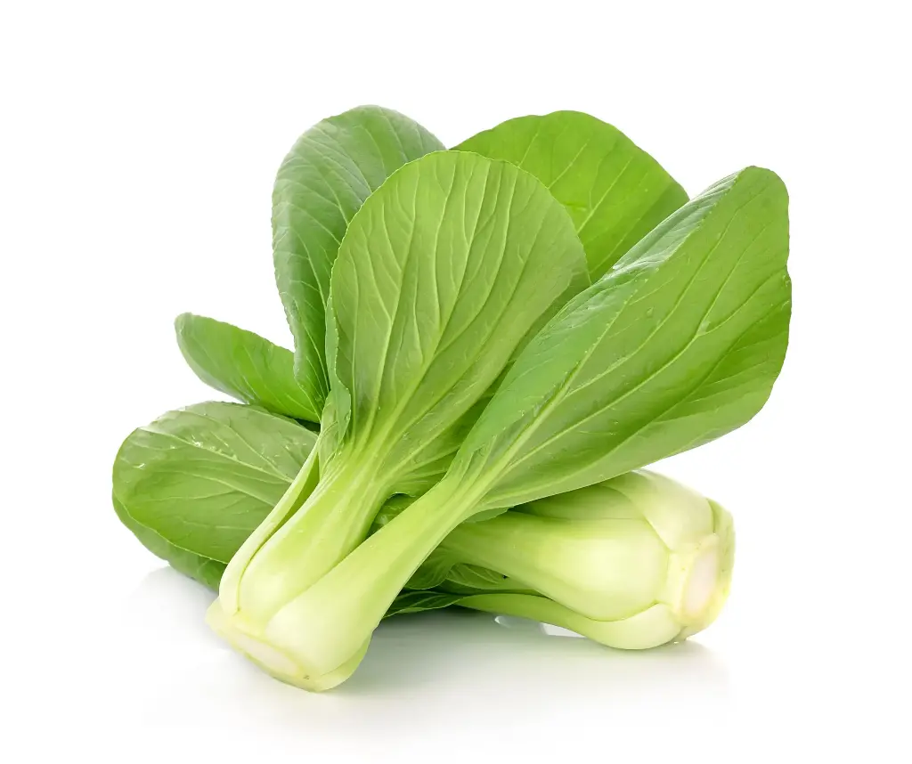 Chou Chinois Pakchoï Pce