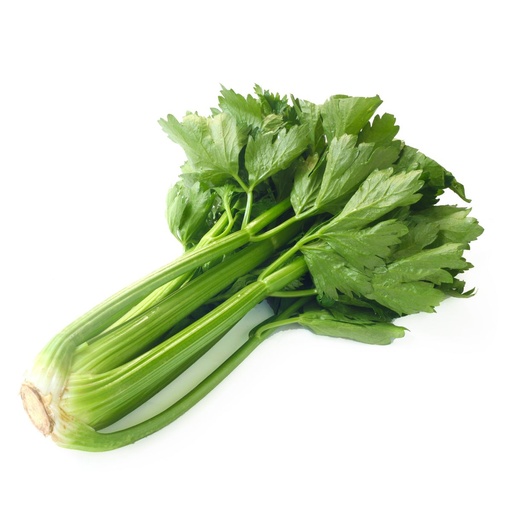 Céleri vert Pce