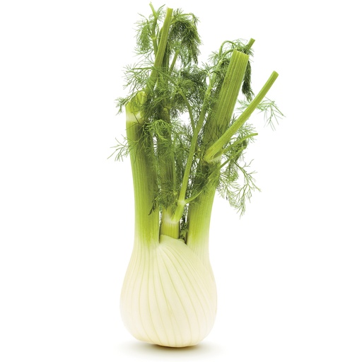 Fenouil avec fanes Pce