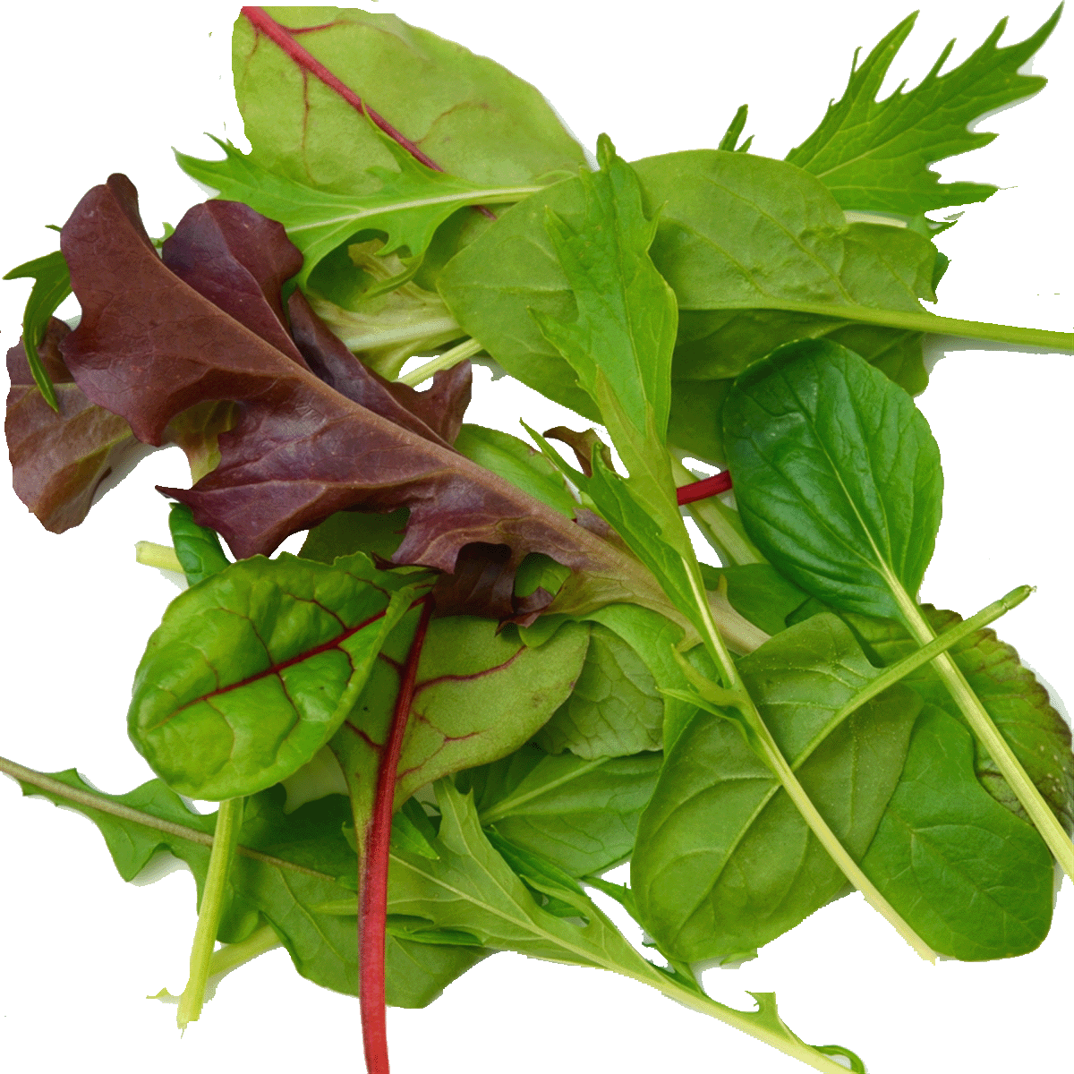 Mesclun Asiatique 100gr