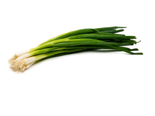 Oignon Ciboule botte
