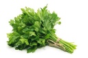 Persil plat botte