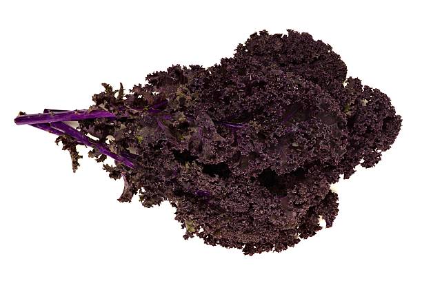 Chou Kale Violet Botte