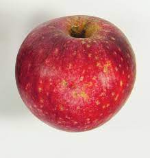 Pomme Reinette Etoilée Kg