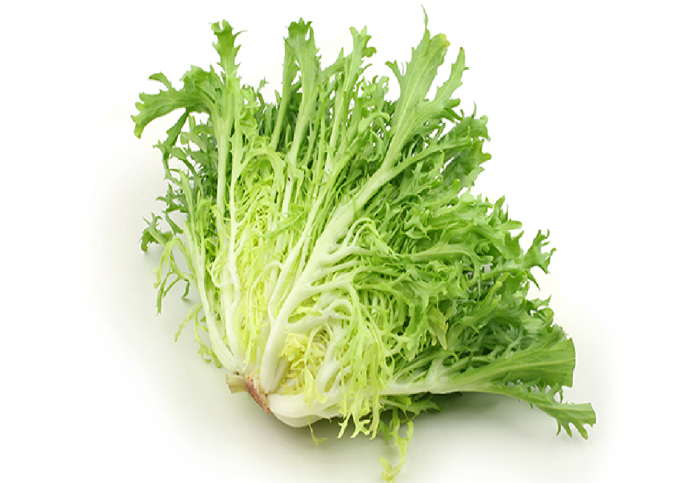 Salade Frisée Pce