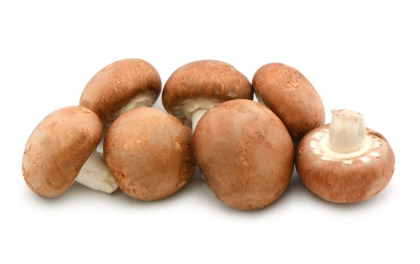 Champignons de Paris Bruns 500g
