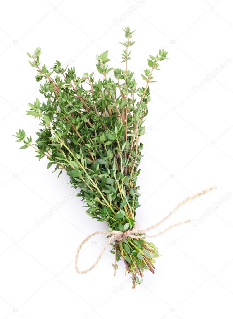 Thym citron botte