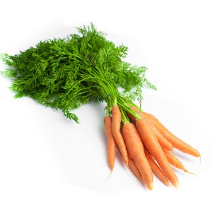 Carottes baby botte
