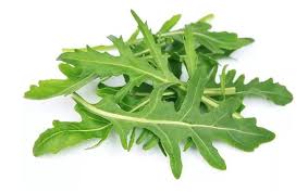 Roquette 100g