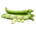 Fèves des Marais 500g
