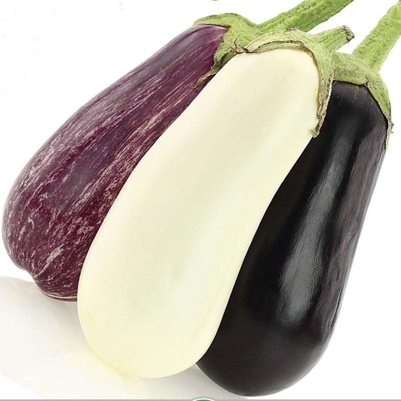 Aubergine