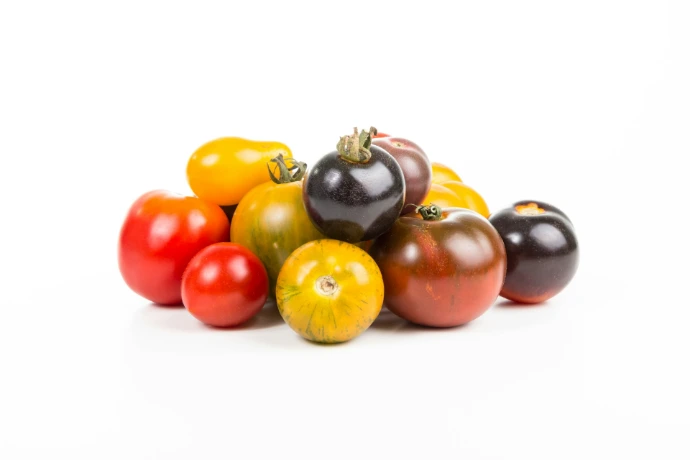 Tomate ancienne Mix Kg 