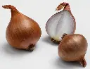 Echalote ronde 200g (mi-sèche)
