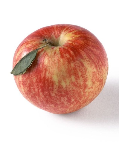Pomme Wellant