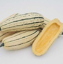 Courge Bush Délicata